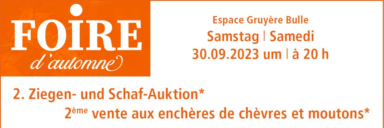 Logo Annonce F D